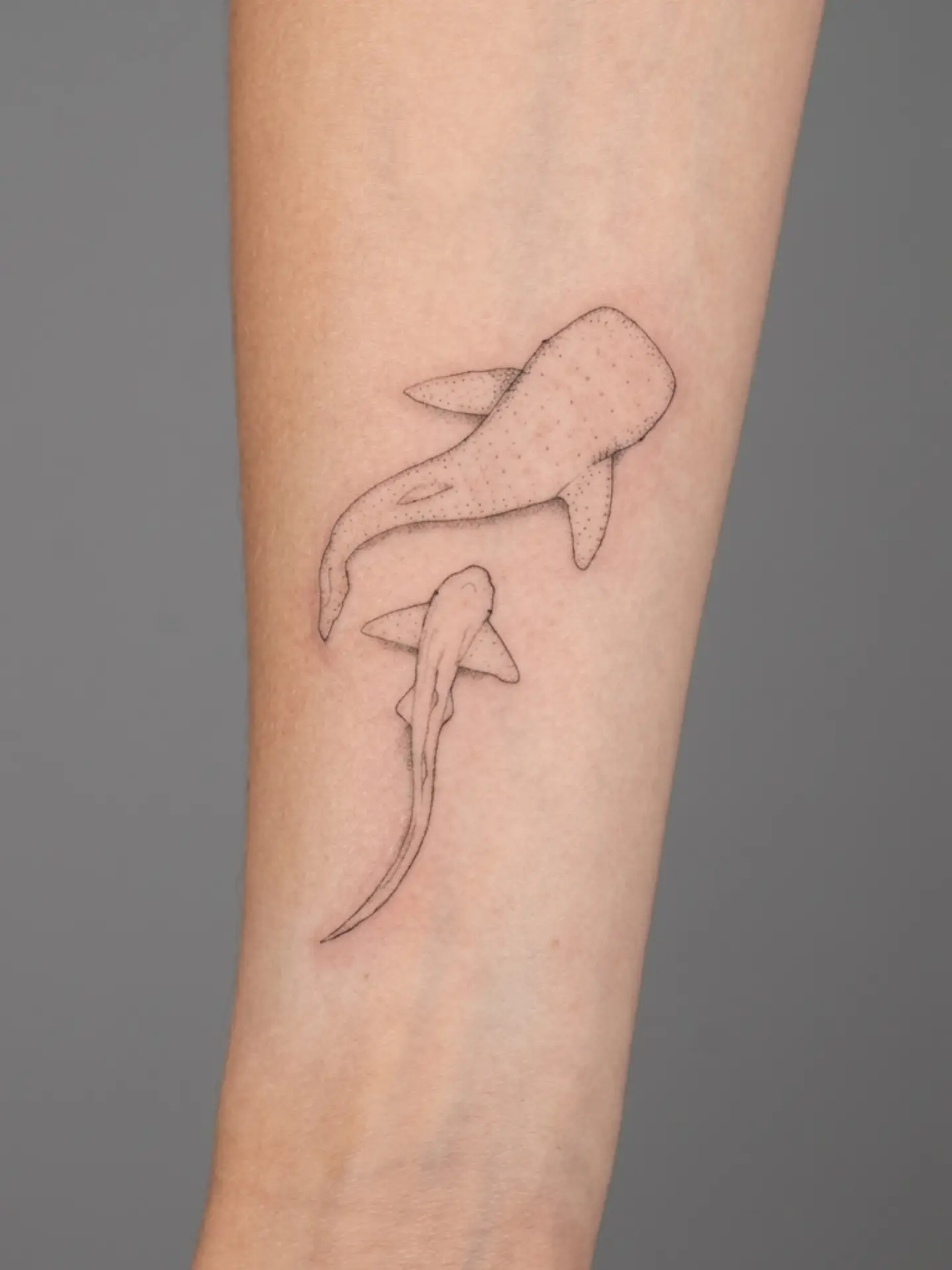 Fineline tattoo van twee walvishaaien op een onderarm